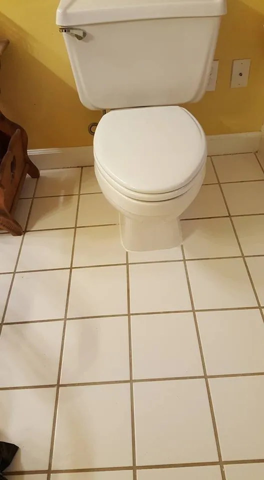 Slide of Shreks Plumbing