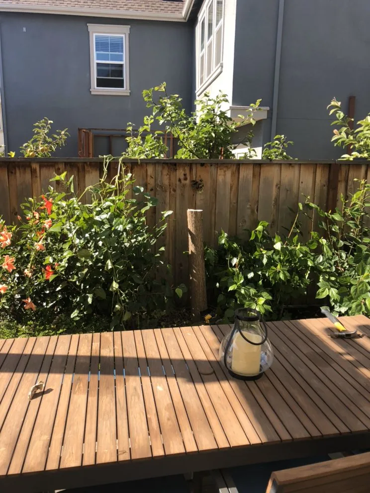 Slide of SHS Residential