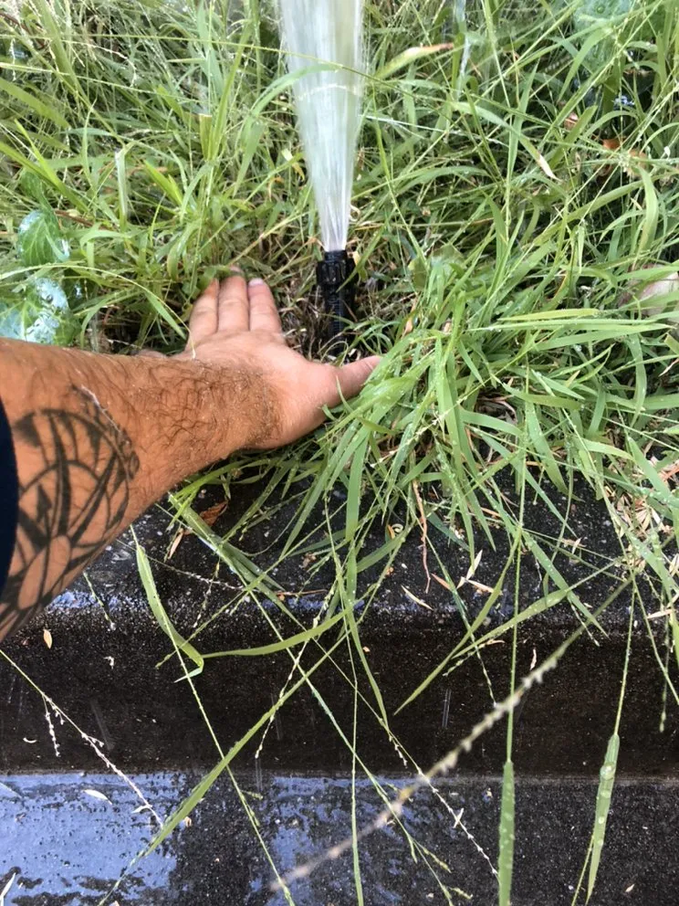 Slide of SHS Residential