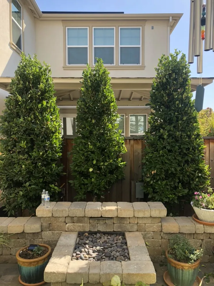 Slide of SHS Residential