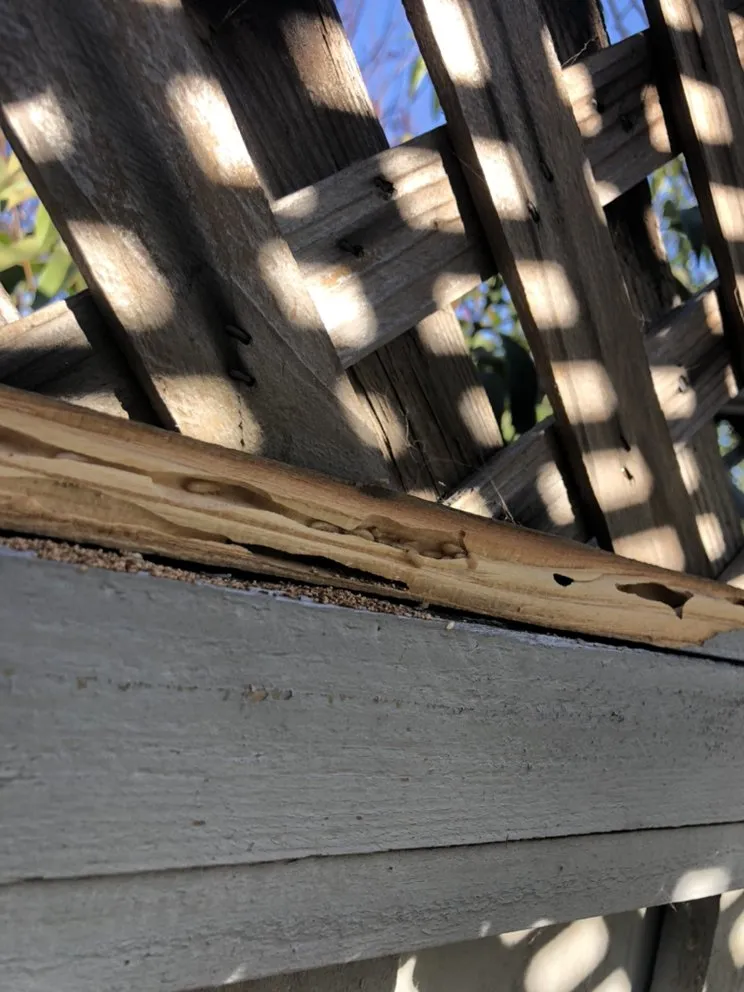 Slide of SHS Residential