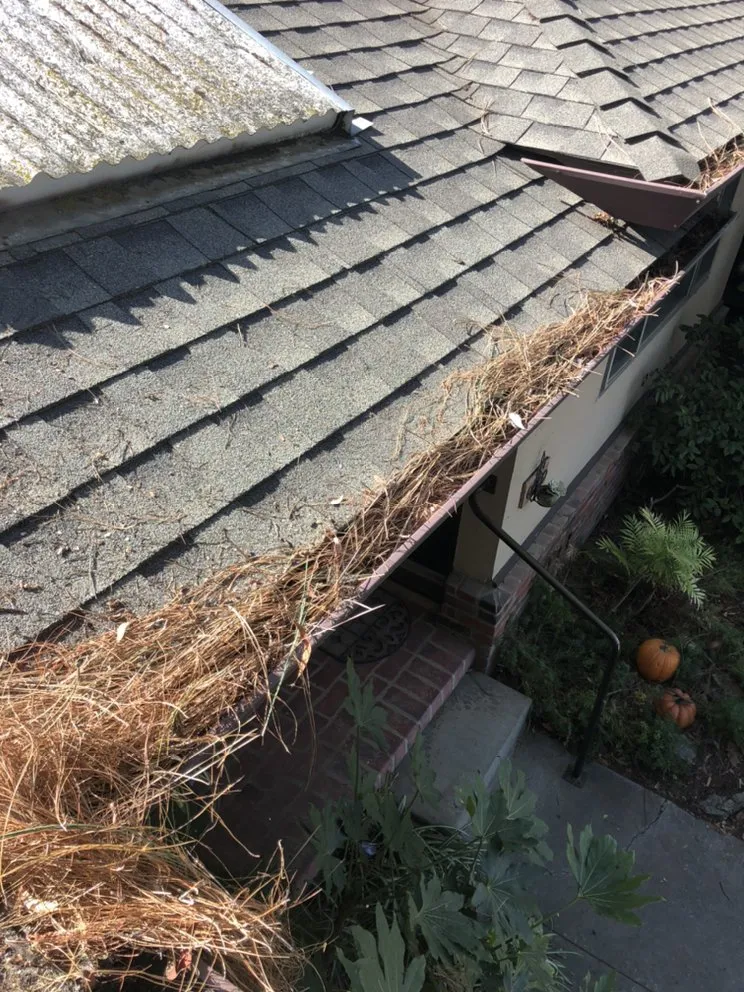 Slide of SHS Residential