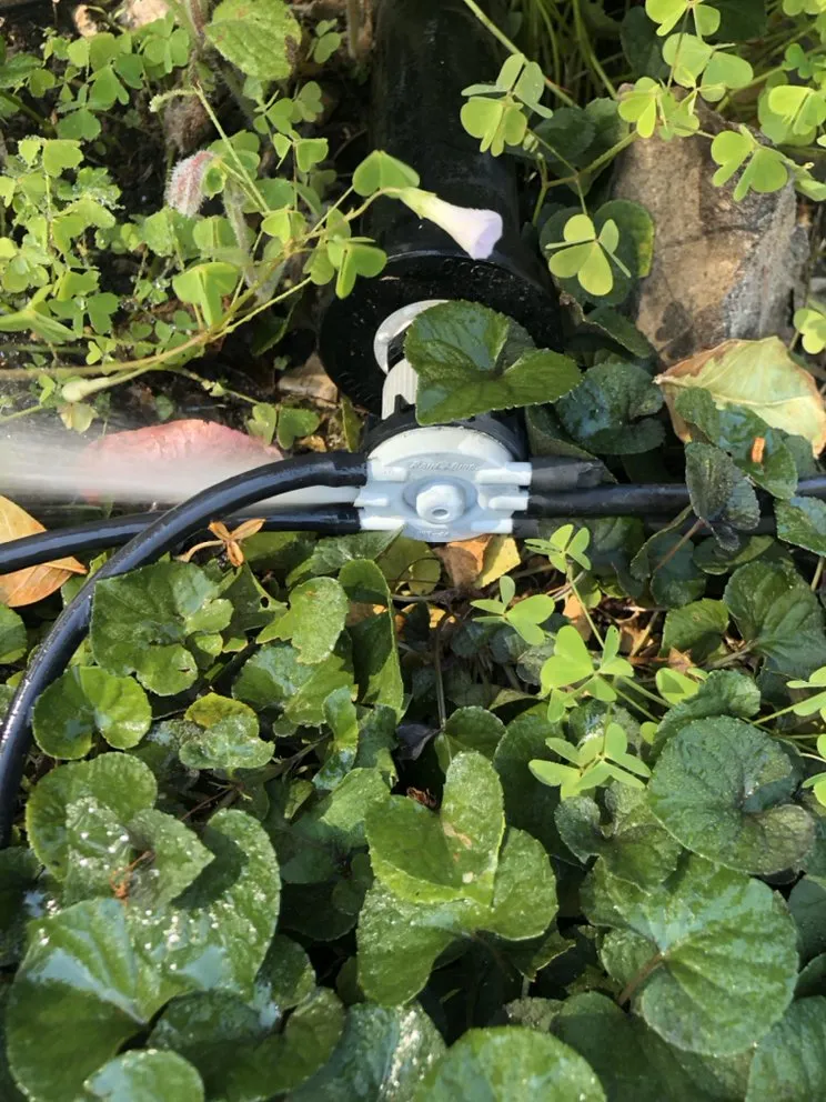 Slide of SHS Residential