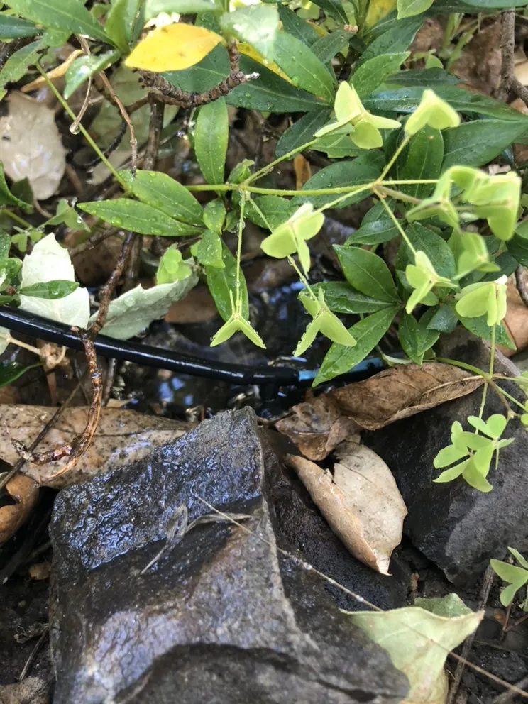 Slide of SHS Residential