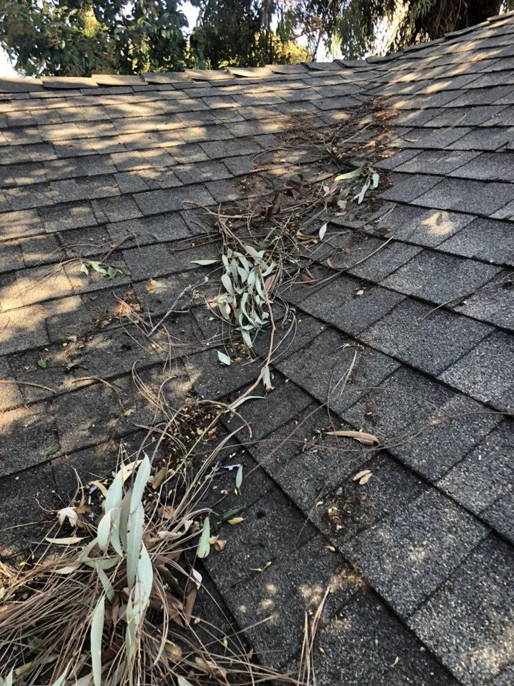 Slide of SHS Residential