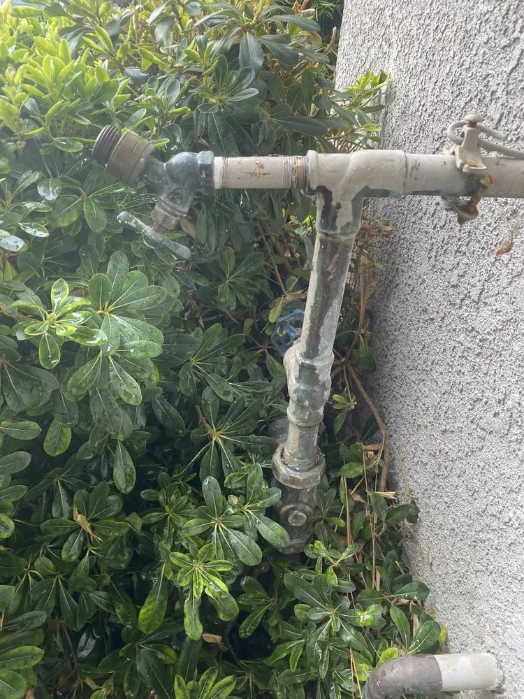 Slide of ShumpGun Rooter