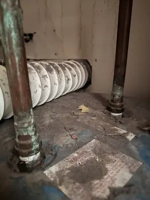 Shy Maintenance And Repair Logo