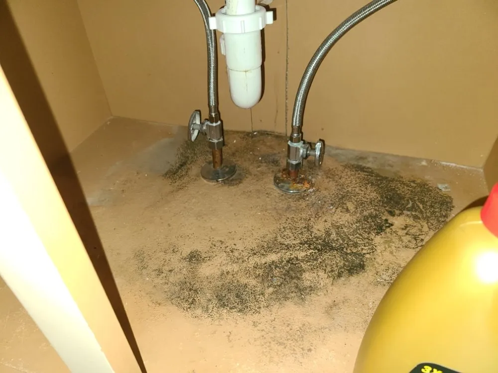 Professional water heater service for homes in Louisville, KY by Sick Home Solutions