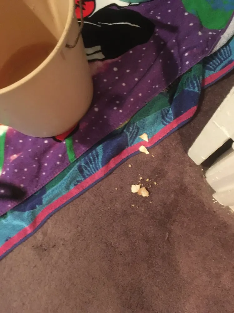 Affordable pipe repair service in King Of Prussia, PA - Sila Heating, Air Conditioning & Plumbing