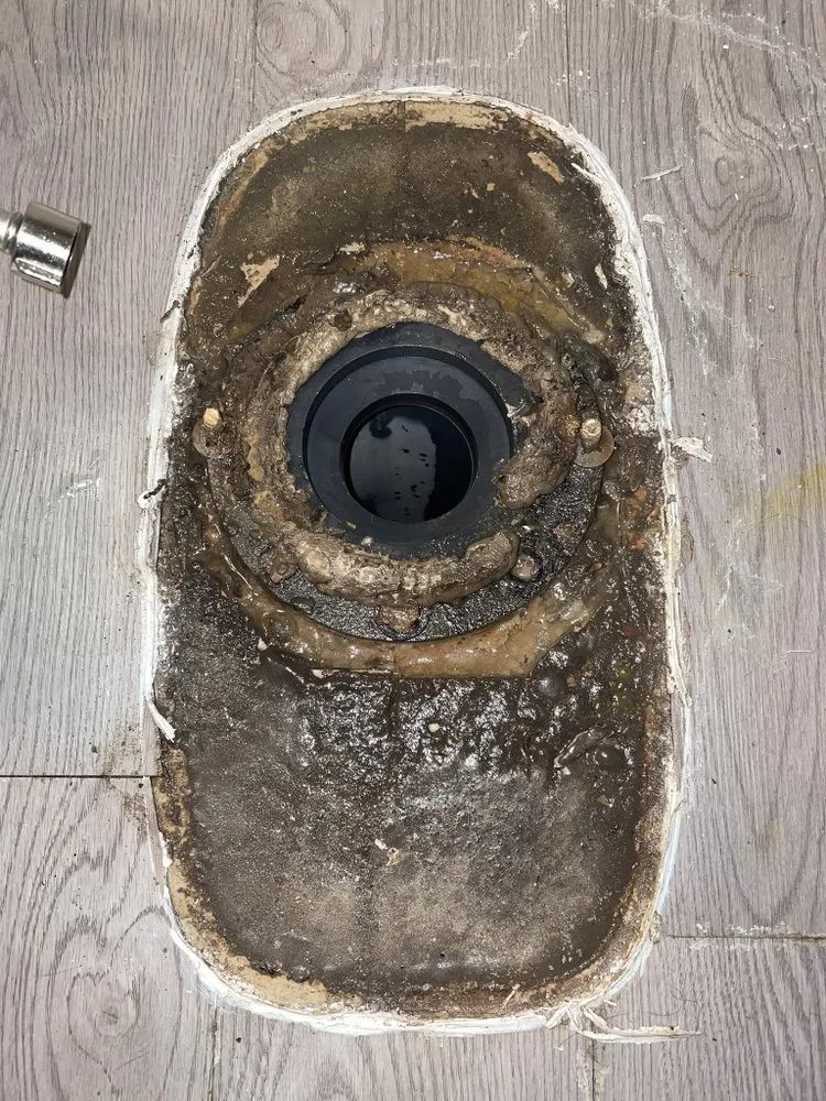 Quality emergency plumbing service in Tampa Bay, FL - Silent Flow Plumbing