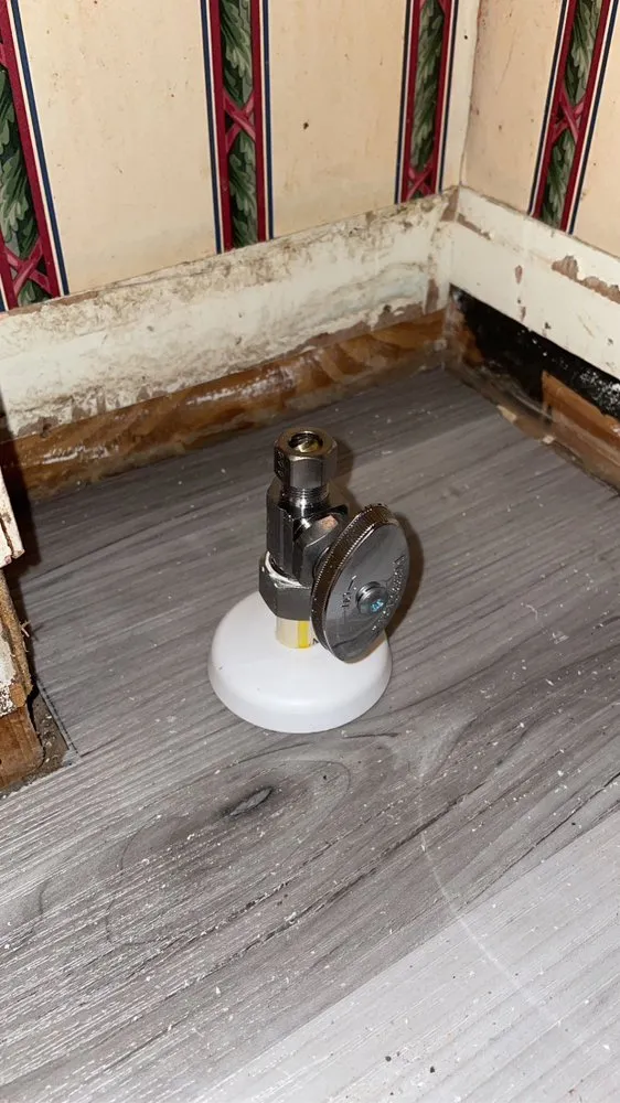 Emergency water heater service in Tampa Bay, FL by Silent Flow Plumbing