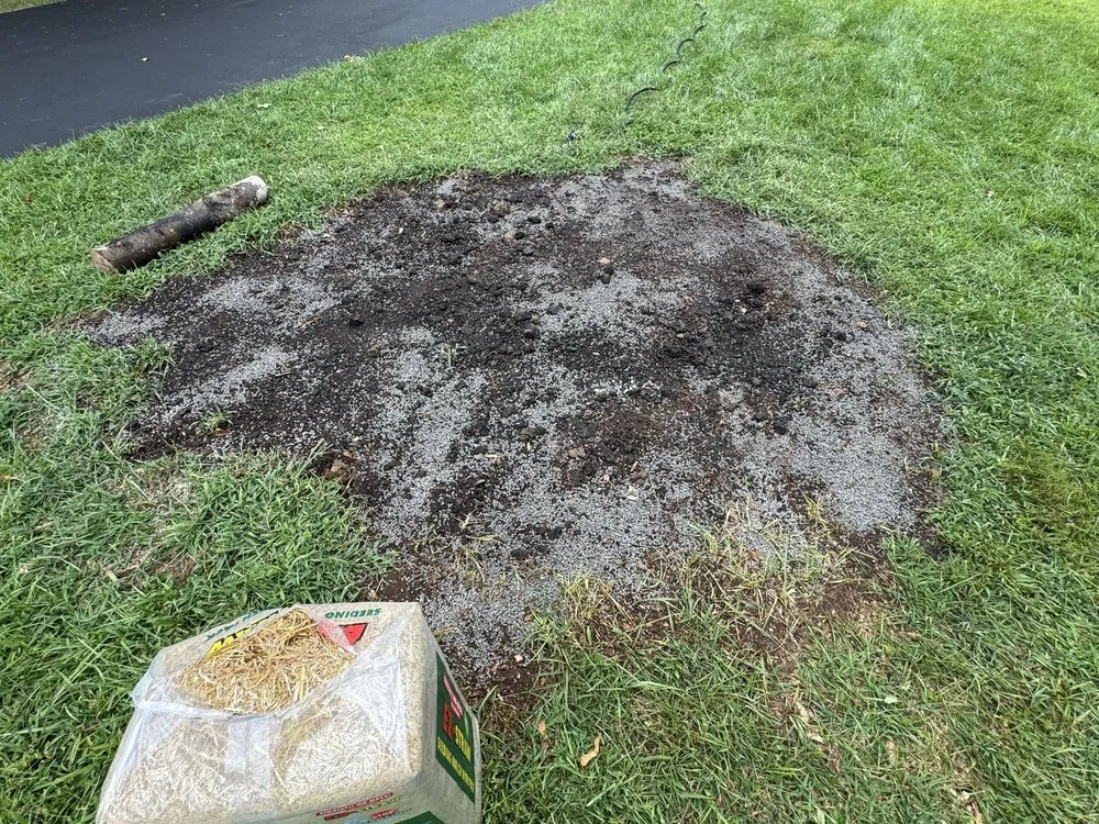 Slide of Silk City Handyman