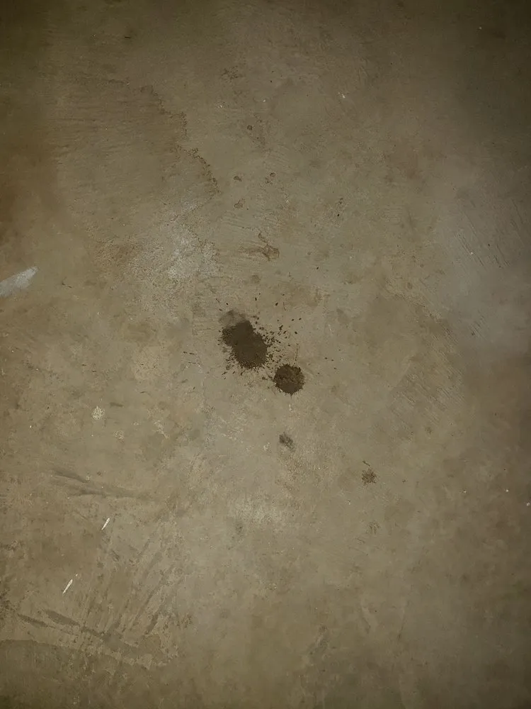 Slide of Silver Eagle Plumbing