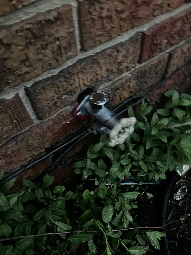 Slide of Silver Plumbing