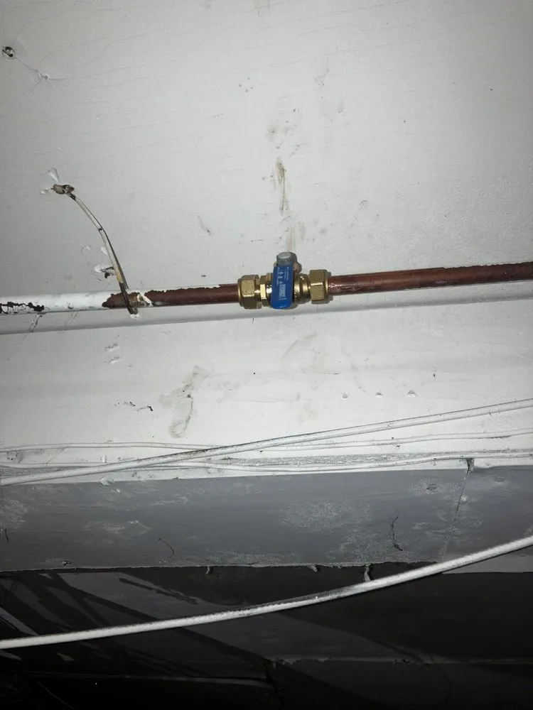 Slide of Silver Plumbing