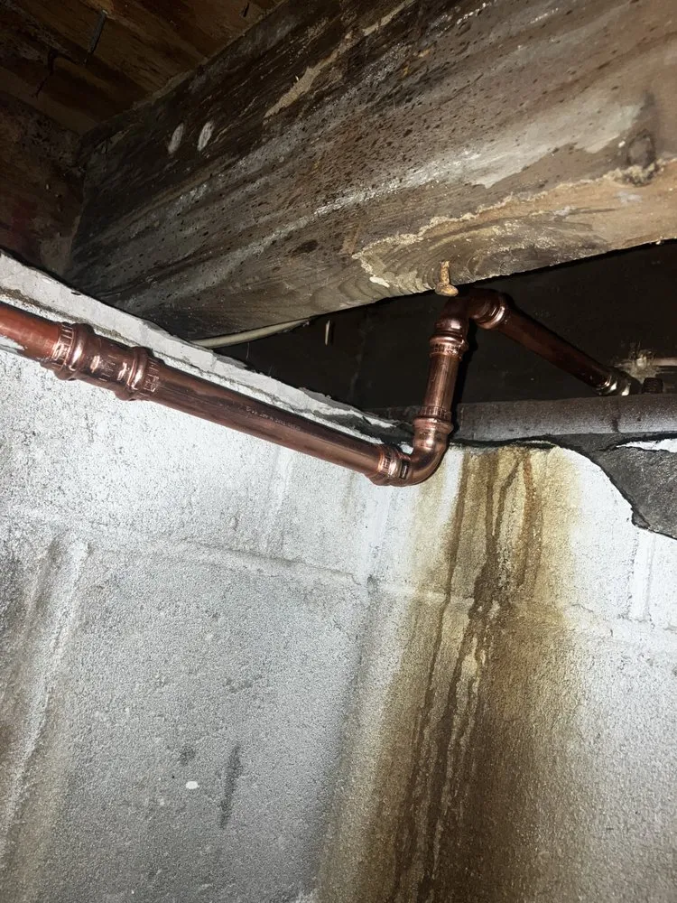 Slide of Silver Plumbing