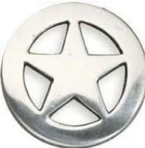 Silver Star Plumbing Logo