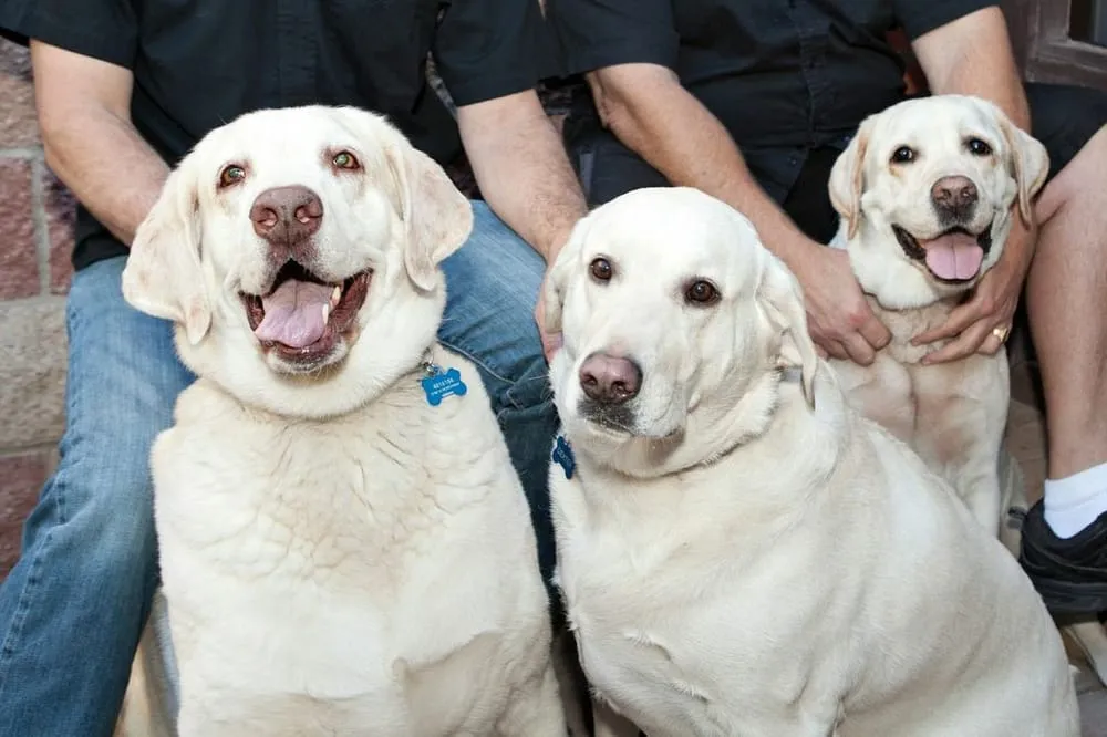 Slide of Silverado Rooter & Plumbing