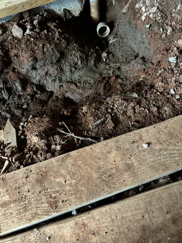 Slide of Silverback Plumbing