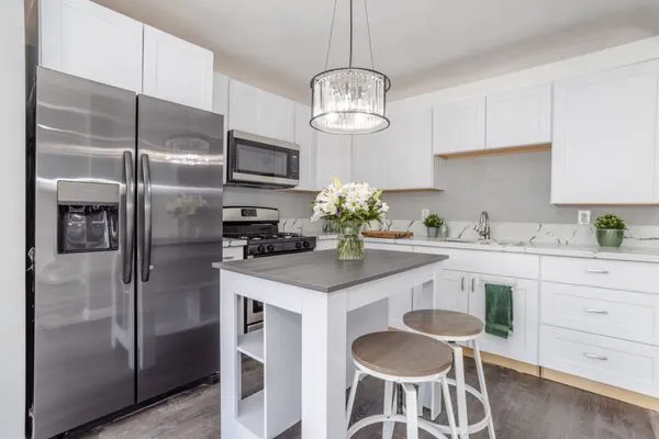 Silverlake Fixologist Logo