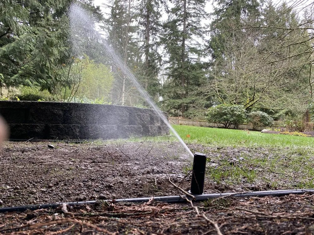 Affordable drain cleaning experts serving Snohomish, WA - Simmons Sprinkler Service