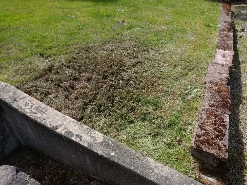 Slide of Simmons Sprinkler Service