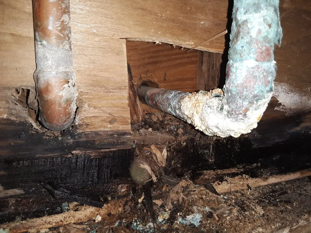 Reliable drain cleaning experts serving North Hollywood, CA - Simple Water Heater & Filtration