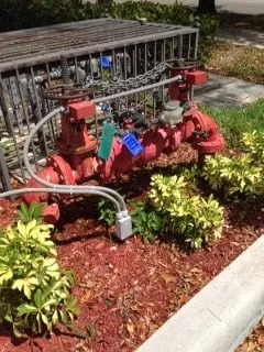 Slide of Simply Backflows