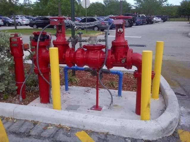 Slide of Simply Backflows