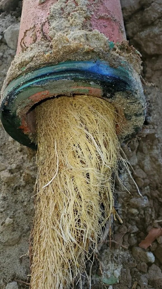 Reliable leak detection service in Los Gatos, CA - Simply Green Plumbing