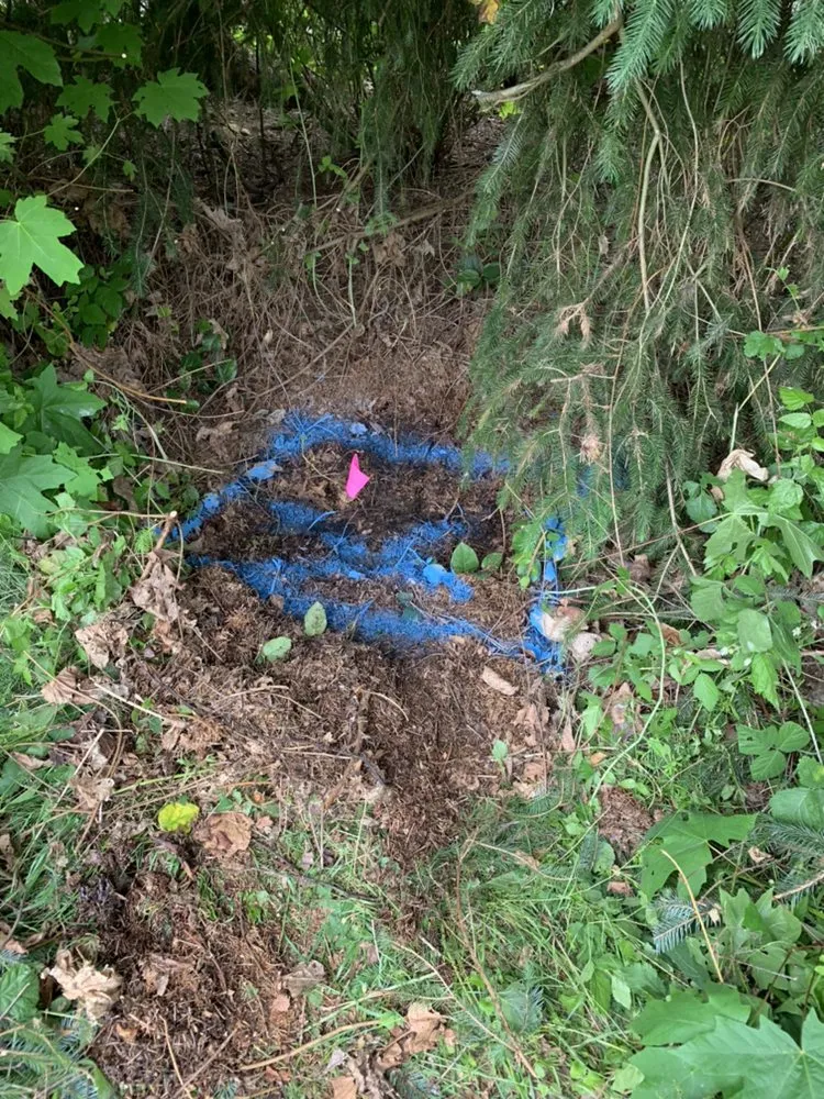 Professional emergency plumbing service in Tacoma, WA - Simply Leak Detection