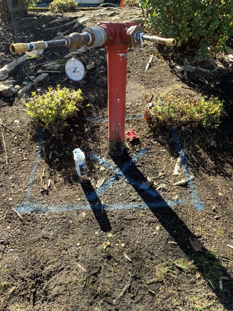 Professional emergency plumbing service in Tacoma, WA - Simply Leak Detection