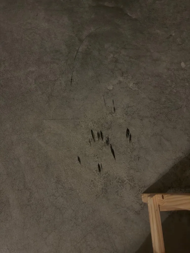 Slide of Simpson Plumbing