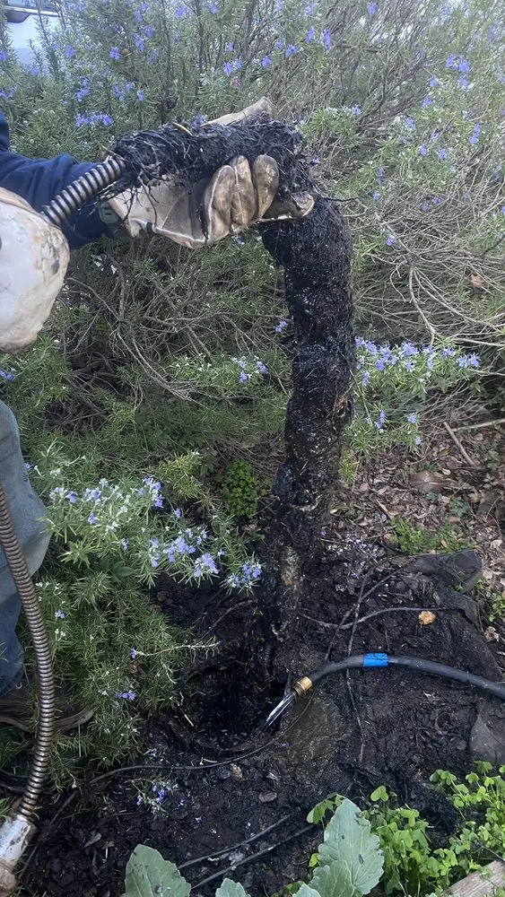 Slide of Single Flush Plumbing