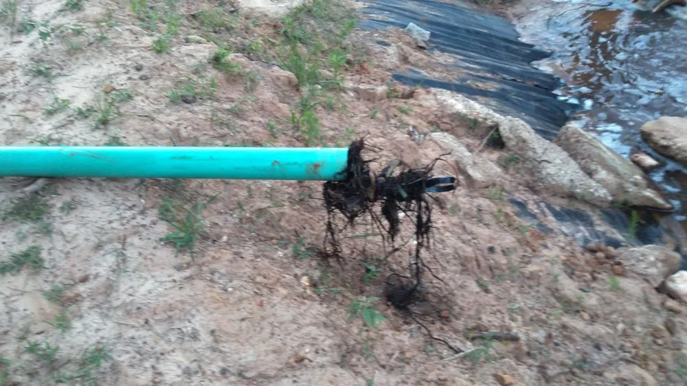 Trusted water heater service for homes in Colmesneil, TX by Sinks to Septic