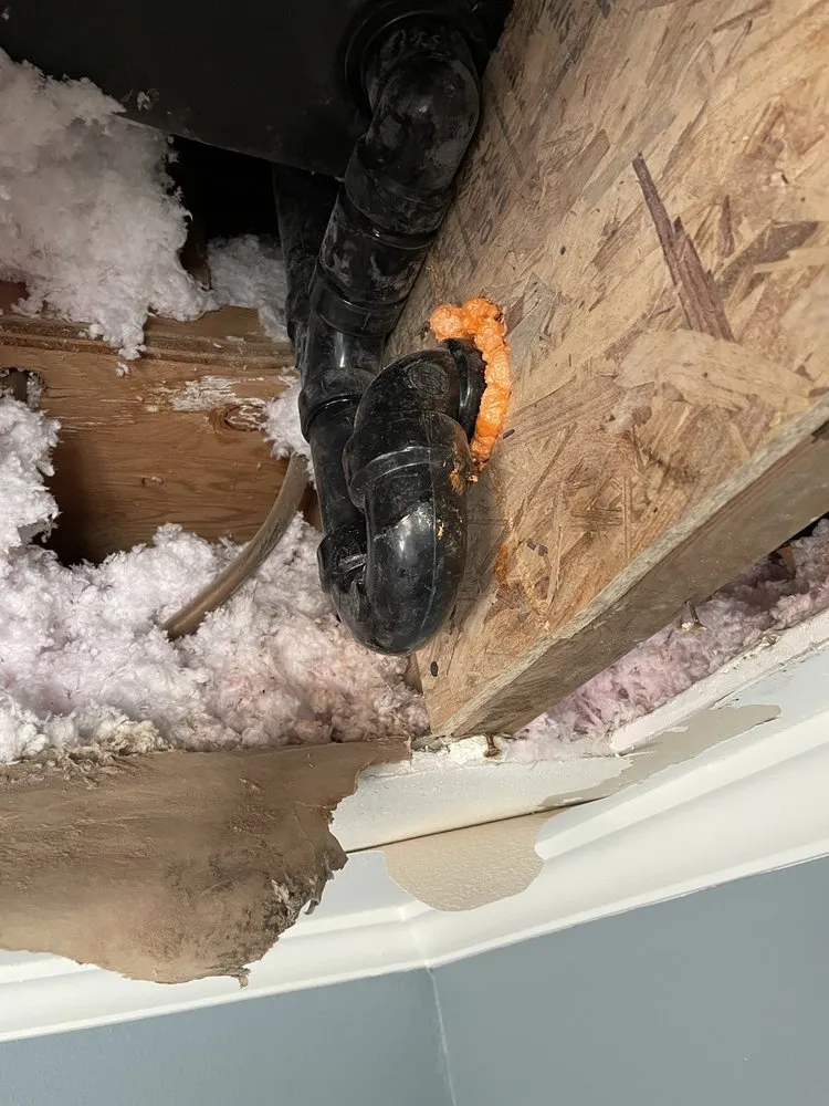 Slide of Sir Plumb-A-Lot