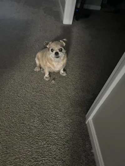 Slide of SIRC Pros Backflows