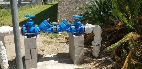 Slide of Sistos Backflow