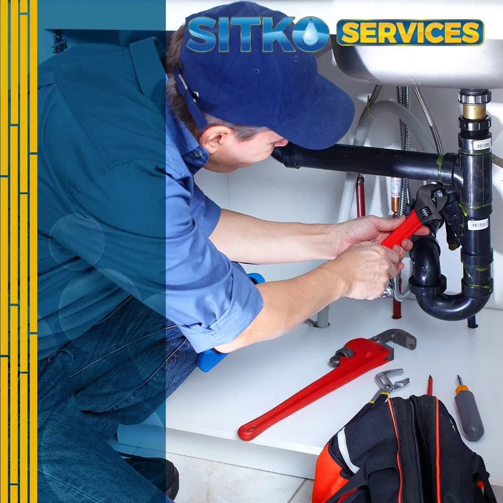 Slide of Sitko Services