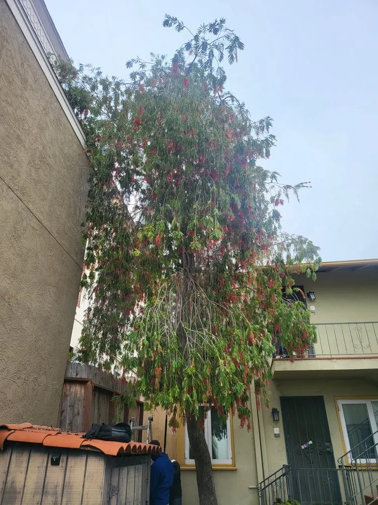 Slide of Skilled Trades Building Services