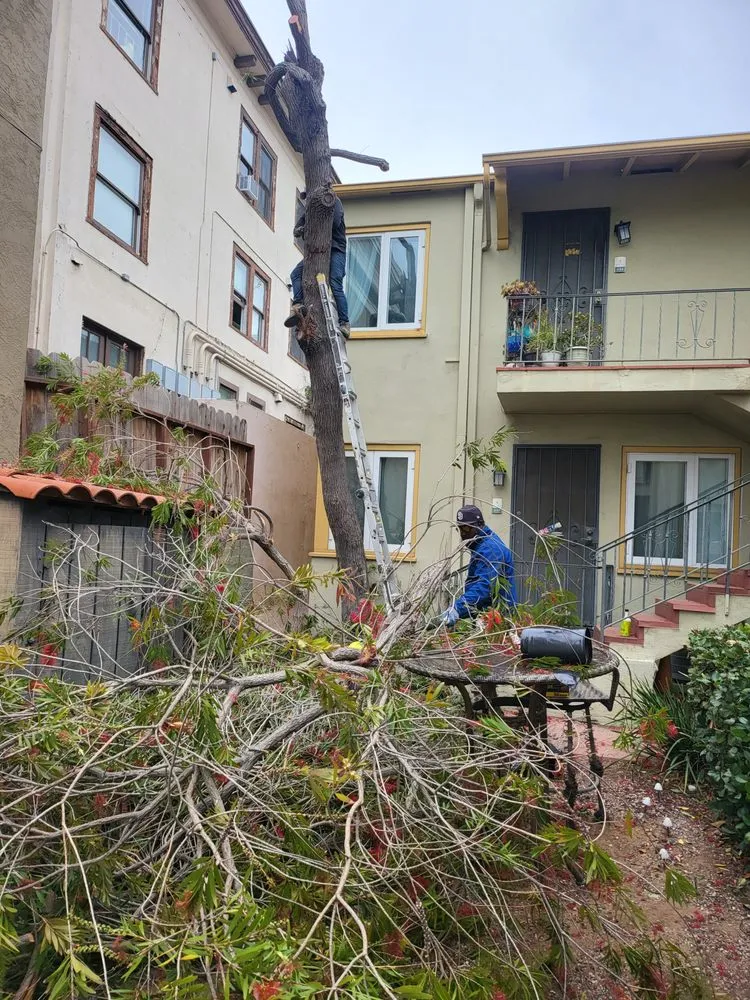 Slide of Skilled Trades Building Services