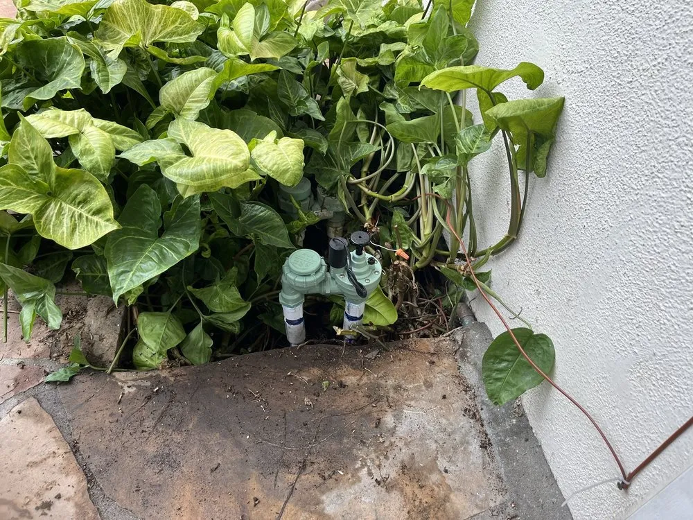 Slide of SKMD Plumbing