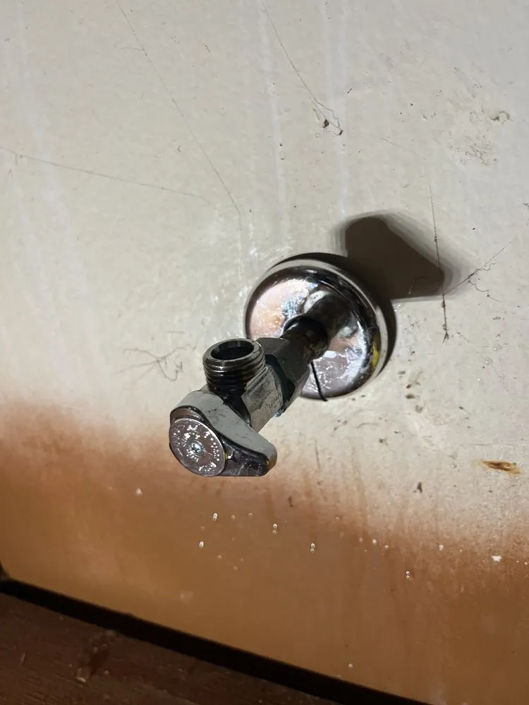 Slide of SKMD Plumbing