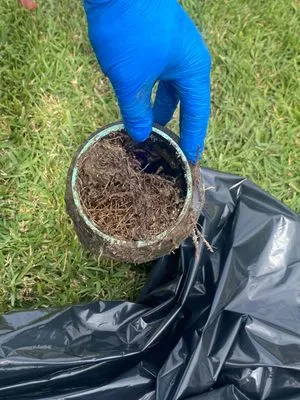 Sky Drain Cleaning and Services Logo