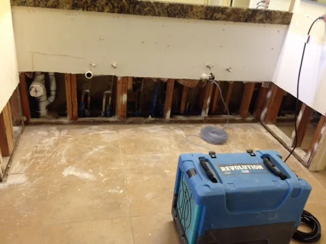 Slide of Slab Leaks Plus