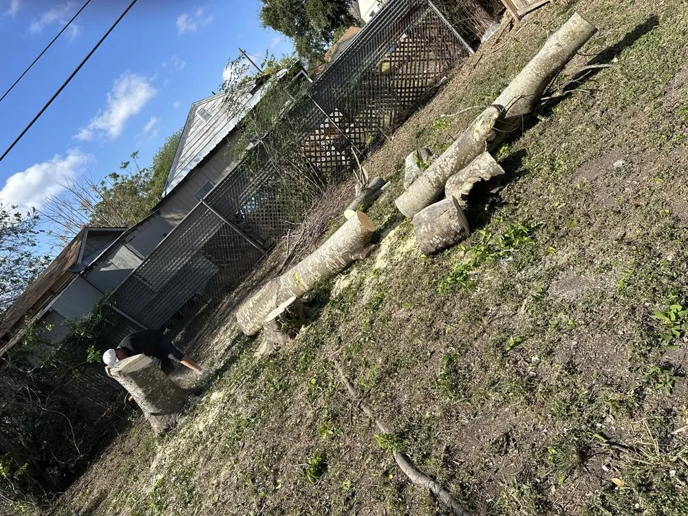 Slide of Sli Tree Trimming