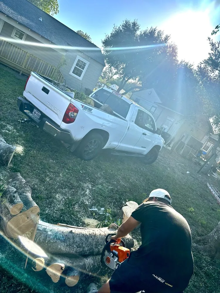 Slide of Sli Tree Trimming