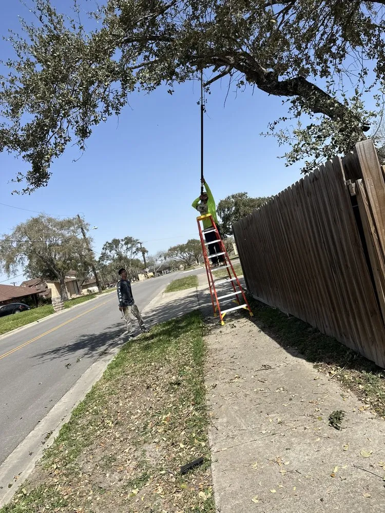 Slide of Sli Tree Trimming