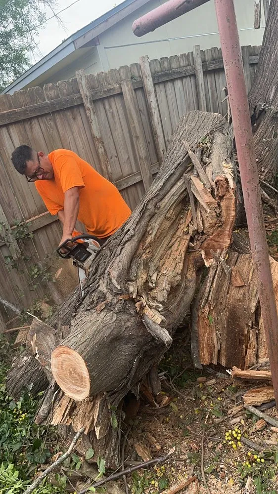 Slide of Sli Tree Trimming