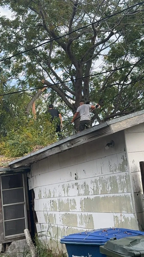 Slide of Sli Tree Trimming